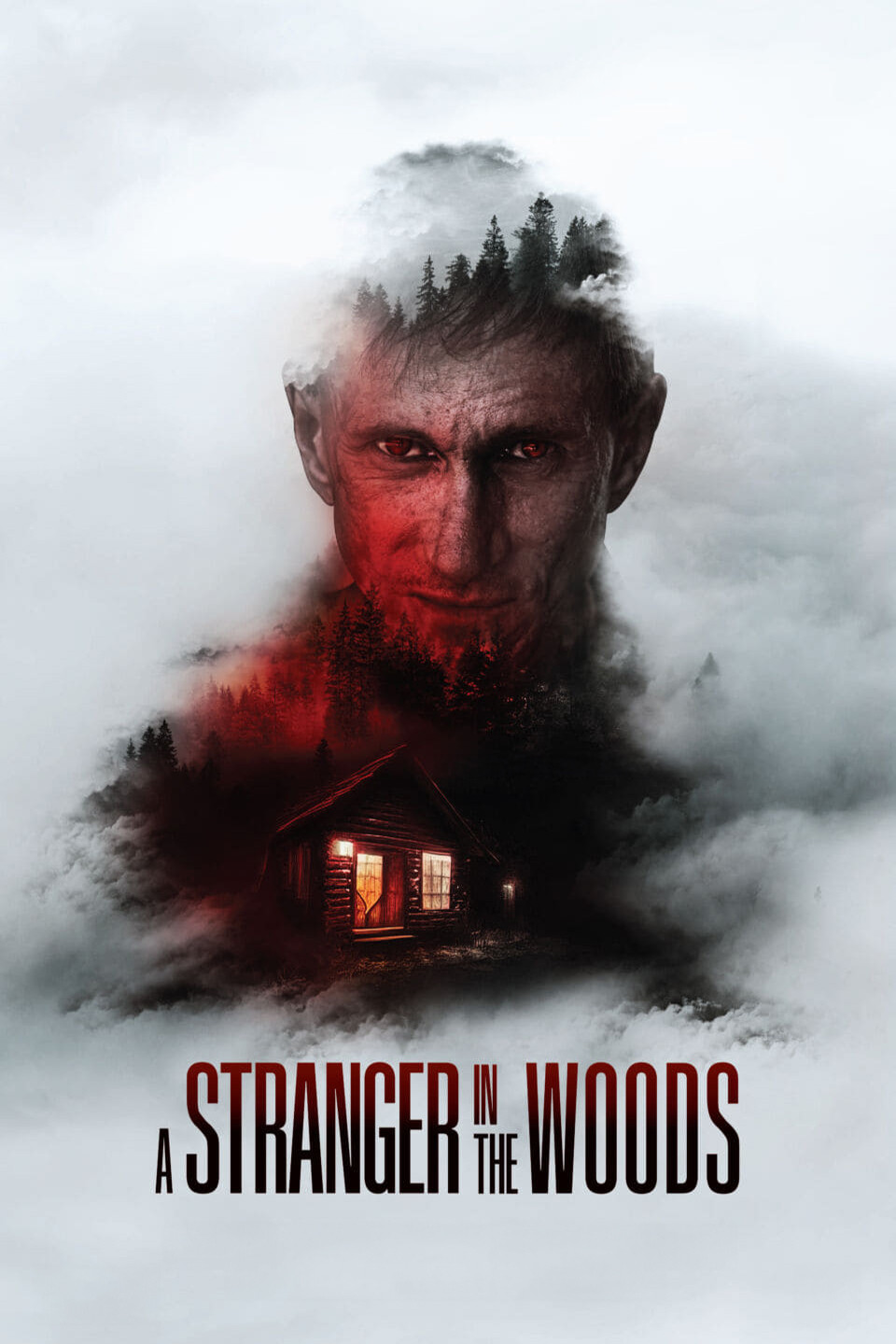 A Stranger in the Woods (2024) movie poster